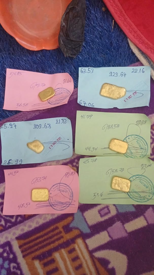 Pépites d'or — lots certifiés